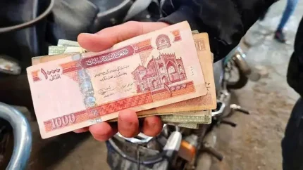 قیمت لحظه ای بازار ارز | قیمت افغانی امروز دوشنبه ۱۶ شهریور ۱۴۰۵ در بازار آزاد با ثبات نسبت به روز گذشته در سطح ۳,۴۲۵ تومان باقی ماند | هر ۱۰۰ دلار آمریکا معادل ۶,۵۵۰ افغانی و هر یک میلیون تومان حدود ۲۹۲ افغانی ارزش گذاری شده است