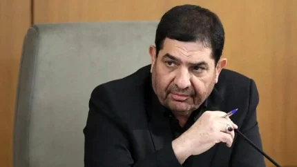 مخبر: شهید نصرالله مقاومت را به ساختاری ریشه‌دار و استوار تبدیل کرد