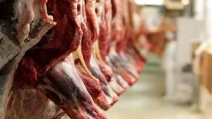 خبر فوری بازار گوشت | قیمت گوشت قرمز امروز جمعه ۲۷ شهریور ۱۴۰۵ اعلام شد / ران گوسفندی ۲ میلیون و ۳۴۰ هزار تومان و ران گوساله ۲ میلیون و ۲۰۰ هزار تومان معامله شد / بازار با ثبات و آرامش کامل همراه است