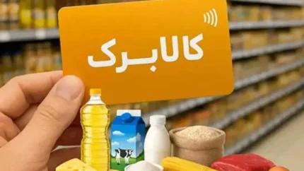 راهنمای کامل کد دستوری و روش‌های استعلام کالابرگ الکترونیکی + جدول کدهای کاربردی