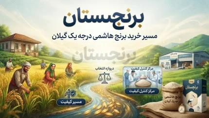 تفاوت برنج صدری هاشمی با سایر برنج ها؛ برنج هاشمی چیست و بهترین برنج هاشمی درجه یک گیلان را از کجا بخریم؟
