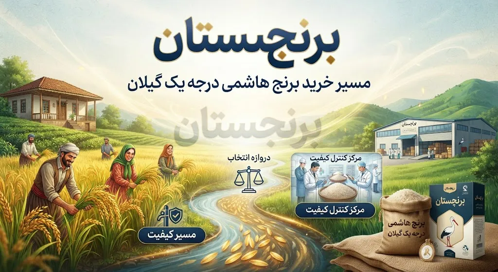 تفاوت برنج صدری هاشمی با سایر برنج ها؛ برنج هاشمی چیست و بهترین برنج هاشمی درجه یک گیلان را از کجا بخریم؟