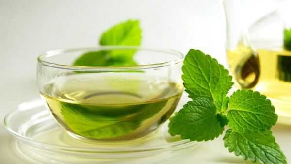 طرز تهیه عرق نعنا خانگی؛ آموزش مرحله به مرحله تهیه عرق نعناع در خانه