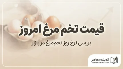 قیمت تخم مرغ امروز؛ هر شانه تخم مرغ چند شد؟ | جزئیات قیمت تخم مرغ فله و بسته بندی