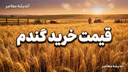 قیمت خرید گندم ۱۴۰۵؛ نرخ هر کیلو گندم چقدر است؟ | آخرین خبر از مطالبات گندمکاران