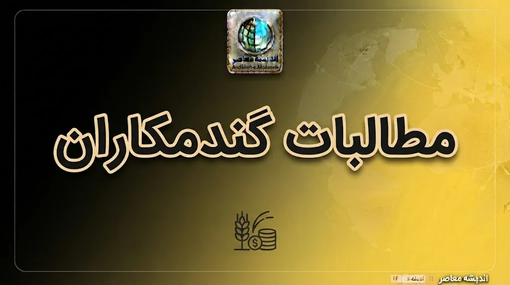 آخرین وضعیت پرداخت مطالبات گندمکاران در ۳ مهر ۱۴۰۵ | خبر جدید از واریز پول گندمکاران و زمان تسویه باقی مانده