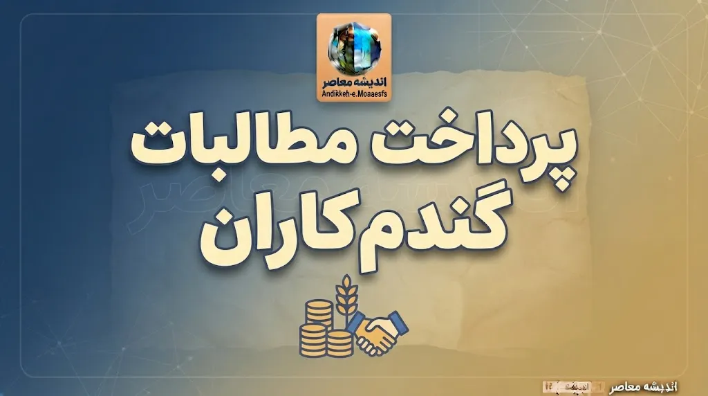 خبر خوب برای گندم‌کاران؛ پرداخت بخش قابل‌توجهی از مطالبات باقی‌مانده در این ماه آغاز می‌شود