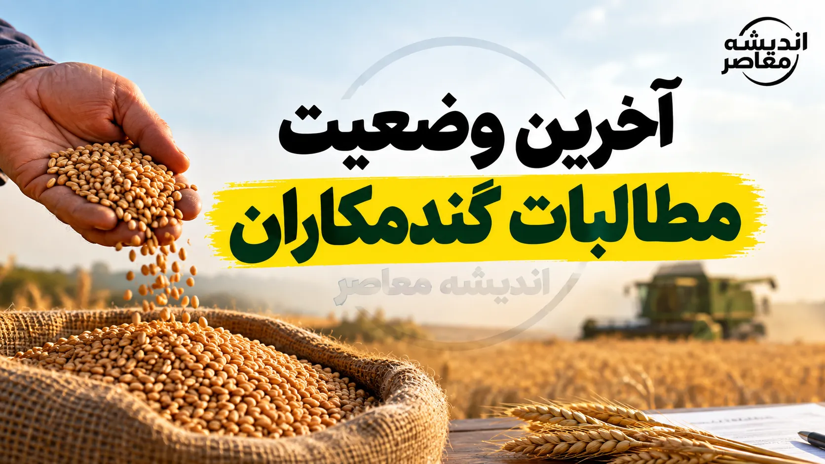 آخرین خبر از گندمکاران امروز ۱۴ مهر ۱۴۰۵ | پرداخت مطالبات گندمکاران و قیمت خرید تضمینی گندم سال آینده