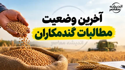 آخرین خبر از گندمکاران امروز ۱۴ مهر ۱۴۰۵ | پرداخت مطالبات گندمکاران و قیمت خرید تضمینی گندم سال آینده