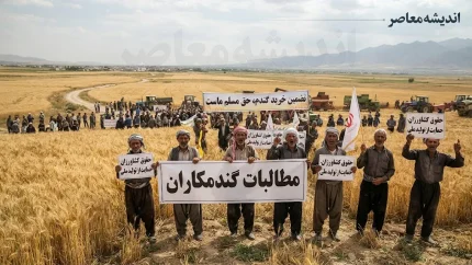 پرداخت صددرصدی مطالبات گندمکاران تا پایان مهر ۱۴۰۵ | خبر خوش برای گندمکاران؛ ۱۰ درصد باقی مانده چه زمانی واریز می شود؟