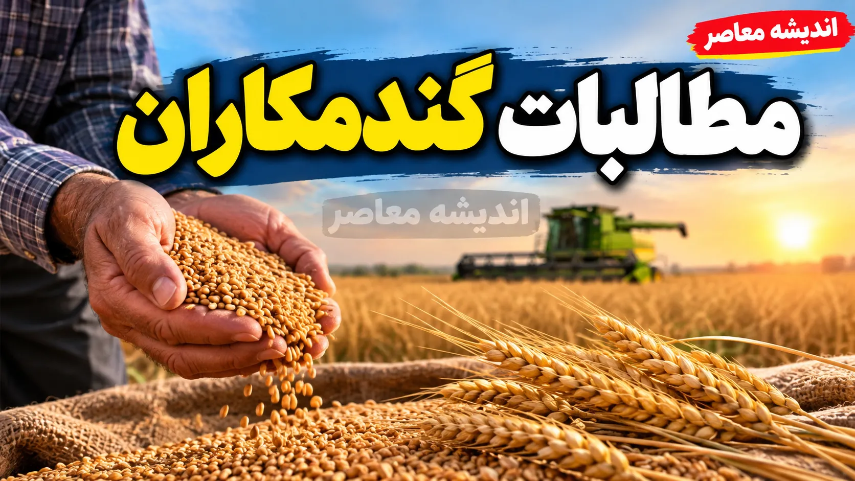 آخرین وضعیت مطالبات گندمکاران در مهر ۱۴۰۵ | پرداخت ۳۹۲ همت از پول گندم کشاورزان؛ جزئیات تسویه باقی مانده مطالبات گندمکاران را بخوانید