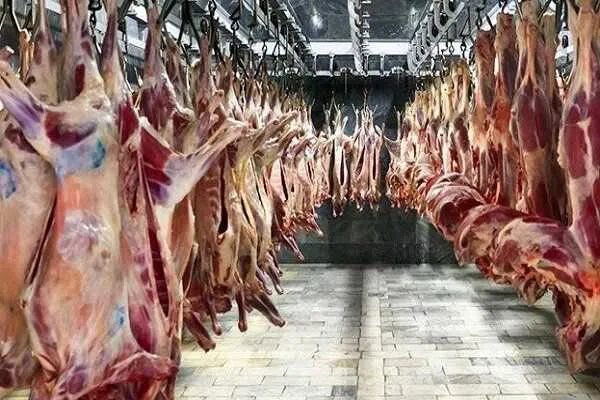 قیمت گوشت قرمز امروز چهارشنبه ۱۵ مهر ۱۴۰۵ | ثبات قیمت ها در بازار / گوشت گوسفندی و گوساله بدون تغییر + جدول